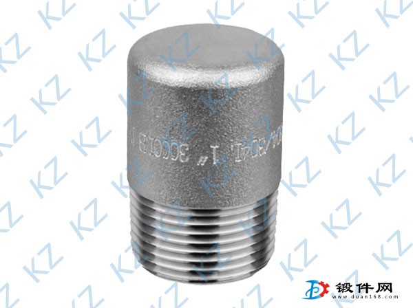 供应各种热销高压不锈钢锻件