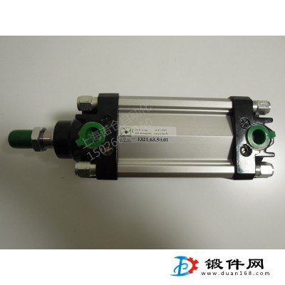 1319.32.200.01  PNEUMAX标准气缸